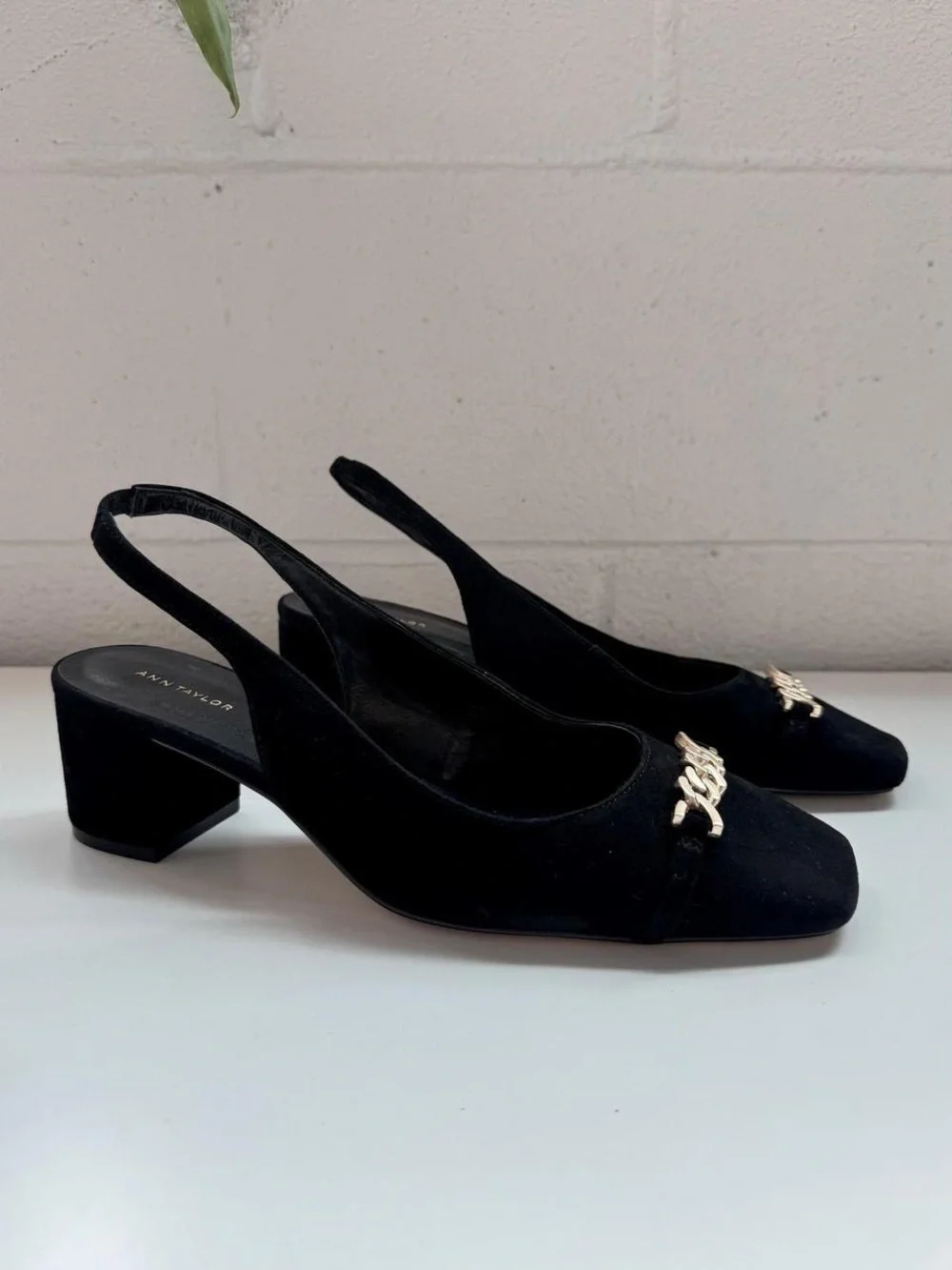 Ann Taylor ann taylor